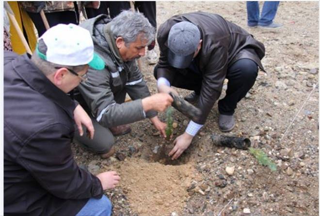 Kale Maden-Kaleseramik, Çan Orman İşletme Müdürlüğü İle Ağaç Dikim Etkinliği Gerçekleştirdi