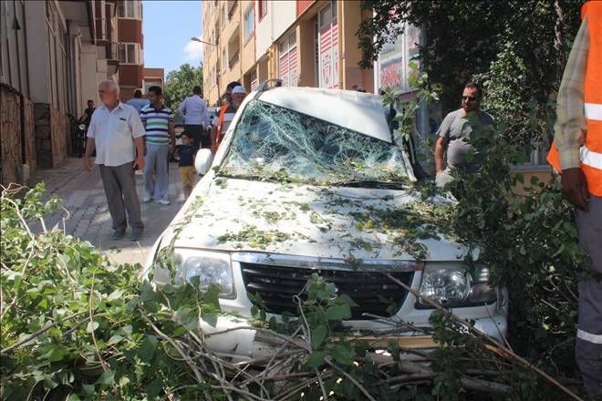 Çan´da Kırılan Kavak Ağacı 2 Aracın Üstüne Devrildi