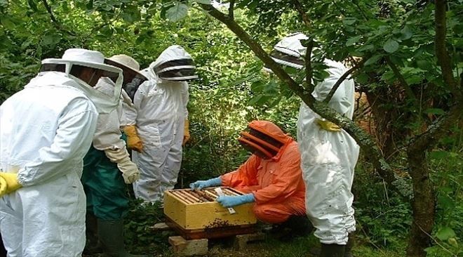 Bakanlıktan Orman Köylülerine Destek