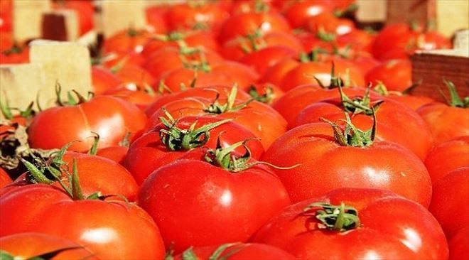 Meşhur Çanakkale domatesi 10 günde 3 kat zamlandı