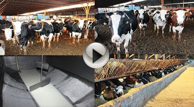 Yüksek Fiyatların Nedeni ´Girdi Maliyeti´