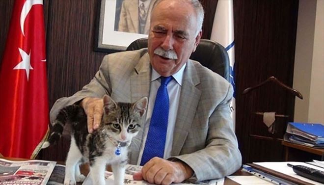 Başkan Gökhan´dan Kedilere Köy Sözü