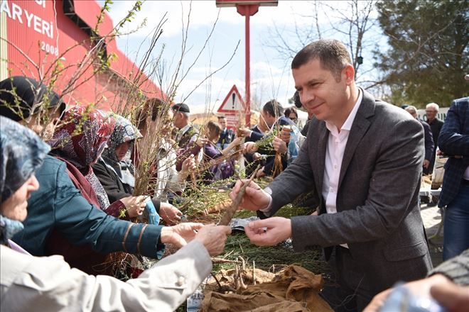 ÇAN´DA BİNLERCE FİDAN DAĞITILDI