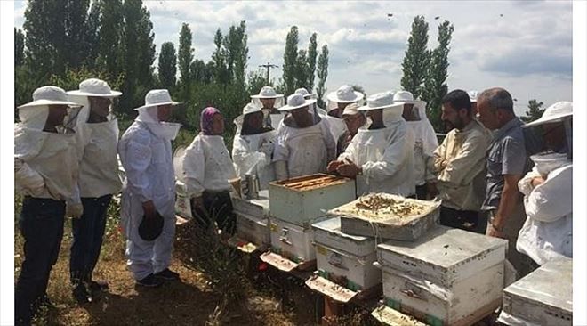 Bayramiç´te ´Uygulamalı Ana Arı Yetiştiriciliği´ Kursu Düzenlendi