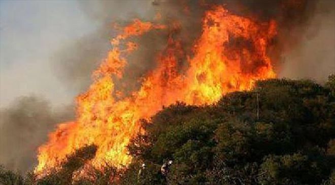 Afad´tan Orman Yangınları İçin Önemli Uyarı