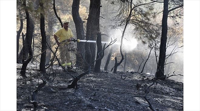 30 Hektarı Kül Eden Çanakkale´deki Orman Yangını Kontrol Altında