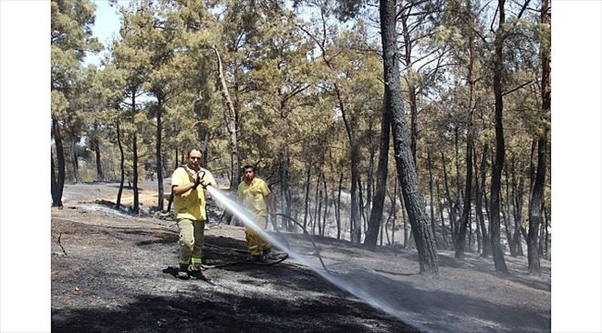 Ezine´deki Yangın Tamamen Kontrol Altında