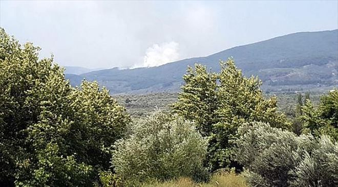 Kazdağları´nda 4 Ayrı Noktada Orman Yangını Çıktı...