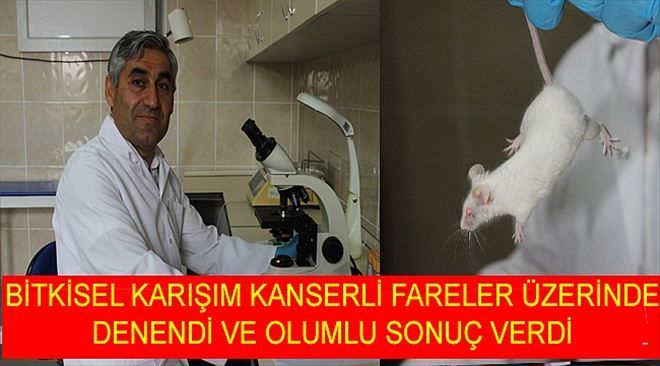 AKÜ´lü Bilim Adamları Kanseri Önleyip Yaşamı Uzatan İlaç Keşfetti