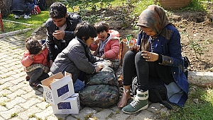 Balıkçı Kamyonetinde 51 Mülteci Yakalandı