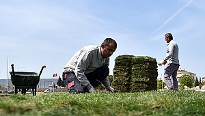 Bölge Trafik Kavşağında Çimlendirme Çalışmaları Yapılıyor