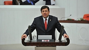 CHP'li Erkek: "Kara Savaşları Büyük Zaferin Bir Başka Kapısıdır"