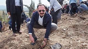 Lapseki'de Bin 500 Adet Fidan Dikimi Yapıldı