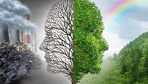 ÇAN YAVAŞ YAVAŞ ÖLÜYOR