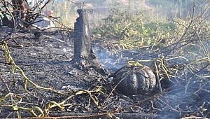 Bayramiç'te Çıkan Yangın, Biber ve Kabaklara Zarar Verdi
