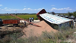 Biga'da buğday kepeği yüklü kamyon devrildi