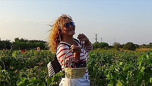 Üzüm Ye Kan Olsun, Bağcılara Can Olsun