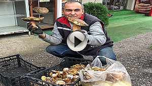 Ayı Mantarı Köylünün Gelir Kapısı Oldu