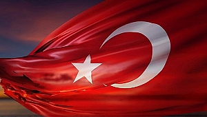 Başımız Sağ Olsun!