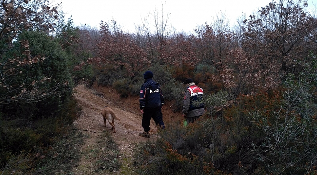 Çan'da Kaybolan Yaşlı Kadın Sağ Olarak Bulundu