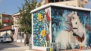 Çan'da Trafolara Belediye Eli