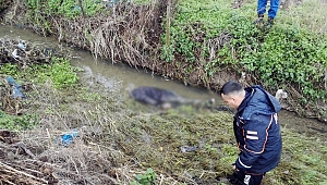 Biga'da Kaybolan Zihinsel Engelli Vatandaş Ölü Olarak Bulundu