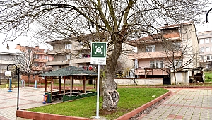 Çan'da Olası Afetlere Karşı Önlem