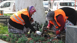 İşkur Toplum Yararına Program İle Çanakkale' de Kamu Kurumlarına Geçici 700 Kişi Alacak