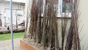 Çan Ziraat Odası, Meyve Fidanı Satışlarına Başladı