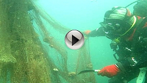 Çanakkale'de Hayalet Ağlar Temizleniyor