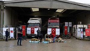 Kaleseramik 2019 Yılının İlk İhracatını Yaptı