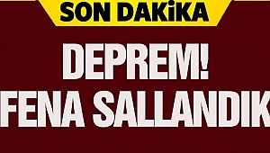 FENA SALLANDIK