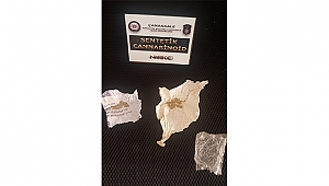 Uyuşturucu İle Mücadele Devam Ediyor