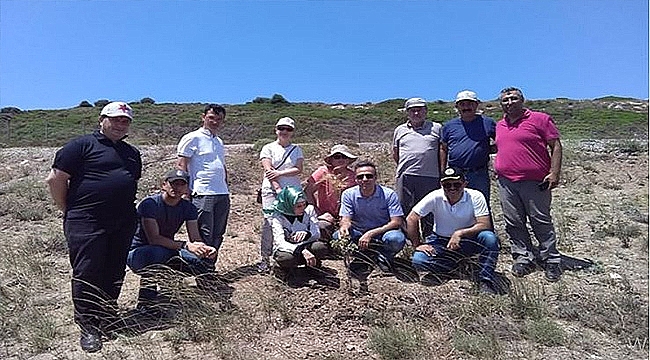 Bozcaada'da 'Sakız Ağacı' Projesiyle Ekonomi Canlanacak!