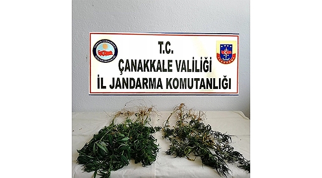 Eş Zamanlı Olarak "Türkiye Güven Ve Huzur Uygulaması" Başlatıldı