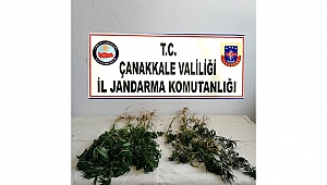 Eş Zamanlı Olarak "Türkiye Güven Ve Huzur Uygulaması" Başlatıldı