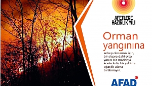 AFAD Orman Yangınlarına Karşı Uyardı