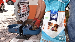 Çan Belediyesi'nden Sokak Hayvanları İçin Duyarlı Uygulama