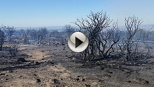 Çanakkale'de 70 Dönümlük Alan Zarar Gördü
