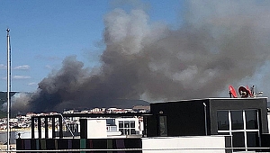 HASTANE YAKININDA ORMAN YANGINI!