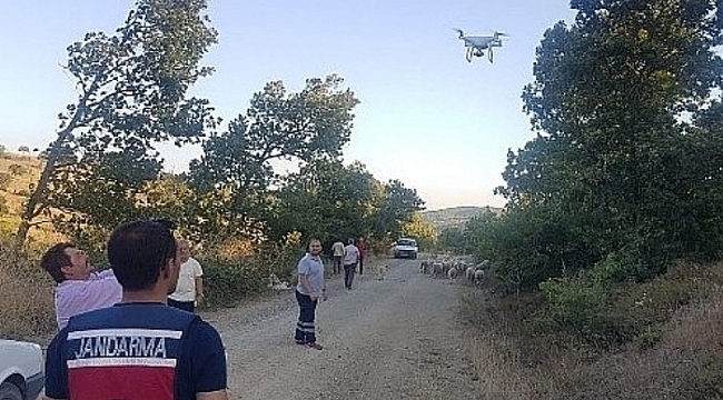 Kaybolan 56 Koyunu Jandarma Drone İle Buldu
