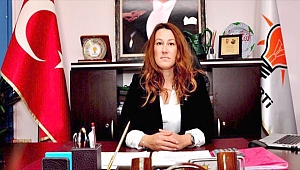 Karadağ Ak Parti'den İstifa Etti