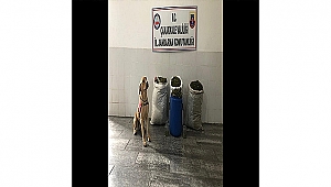 Cezaevi Firarisine Operasyon!