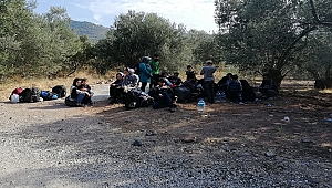 Firar Eden Mülteciler Aranıyor