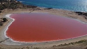 Kalp Şeklindeki Pembe Göl'de Araştırma Çalışmaları Başladı