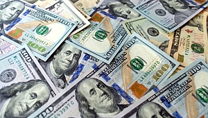 Merkez Bankası Yıl Sonu Dolar Ve Enflasyon Tahminini Açıkladı