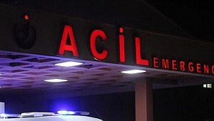 DOMUZ GRİBİ GERİ DÖNDÜ!