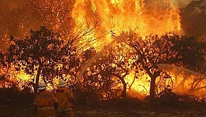 GEZEGENİMİZ ALARM VERİYOR!