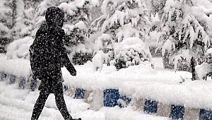 MART KAPIDAN BAKTIRIP KAZMA KÜREK YAKTIRACAK!