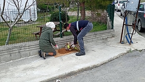 CAN DOSTLARIN BESLENME İHTİYAÇLARINA YÖNELİK ÇALIŞMALAR SÜRÜYOR